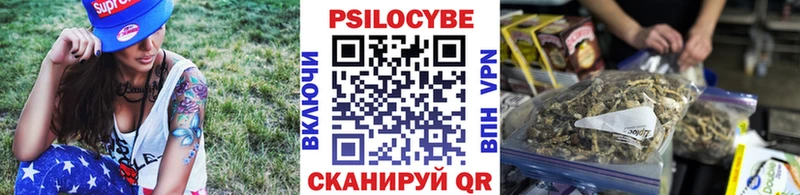 купить наркотик  ОМГ ОМГ ONION  Галлюциногенные грибы GOLDEN TEACHER  Циолковский 