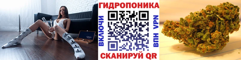 Бошки Шишки гибрид Циолковский